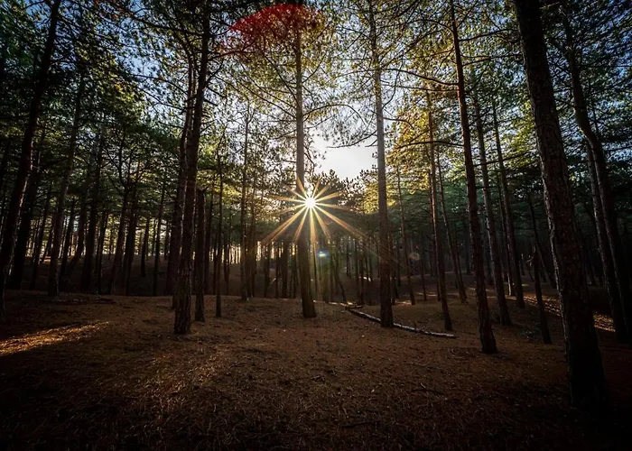 아파트호텔 Strandstudio's Camperduin 3*