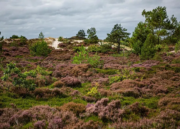 Strandstudio's Camperduin 아파트호텔 3*