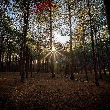 Апарт-отель Strandstudio's Camperduin 4*