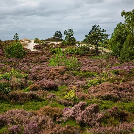 Strandstudio's Camperduin Апарт-отель 4*